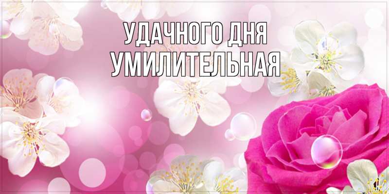 Картинка Удачного дня, умилительная