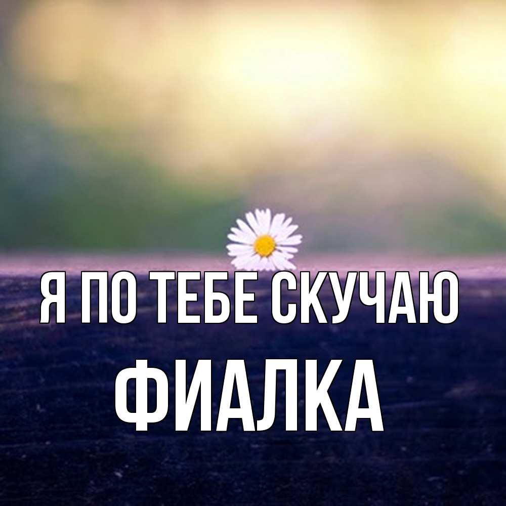 Открытка на каждый день с именем, Фиалка Я по тебе скучаю приходи в гости Прикольная открытка с пожеланием онлайн скачать бесплатно 