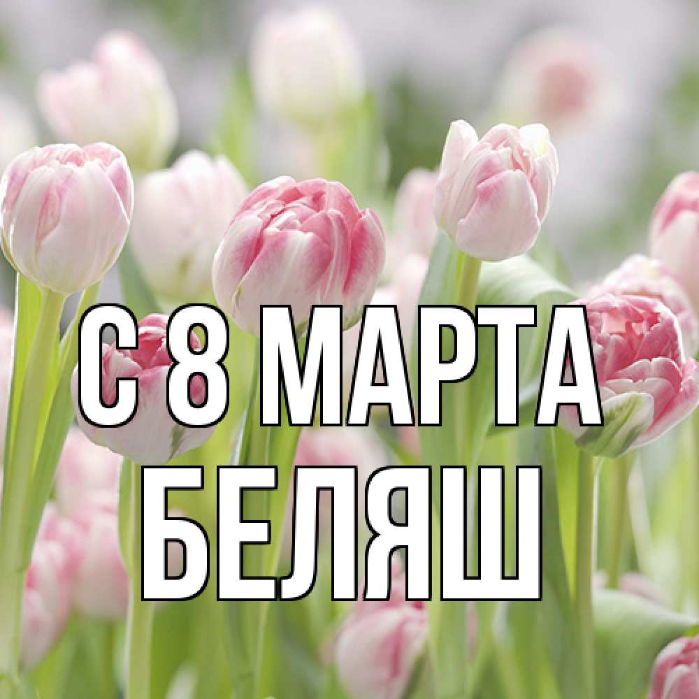 Открытка на каждый день с именем, Беляш C 8 МАРТА цветы Прикольная открытка с пожеланием онлайн скачать бесплатно 