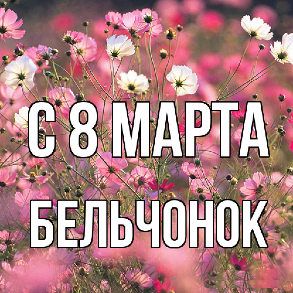 Открытка на каждый день с именем, бельчонок C 8 МАРТА красиво 1 Прикольная открытка с пожеланием онлайн скачать бесплатно 