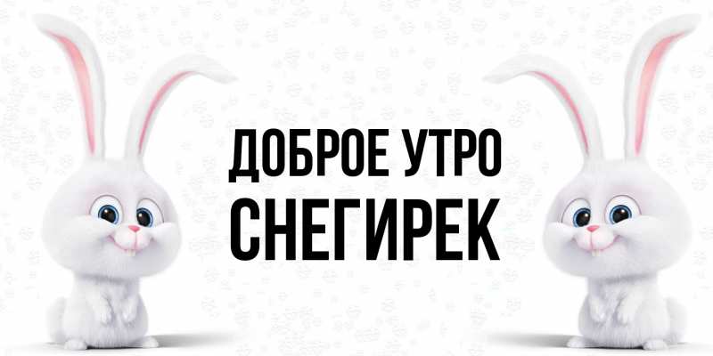 Картинка Доброе утро, снегирек