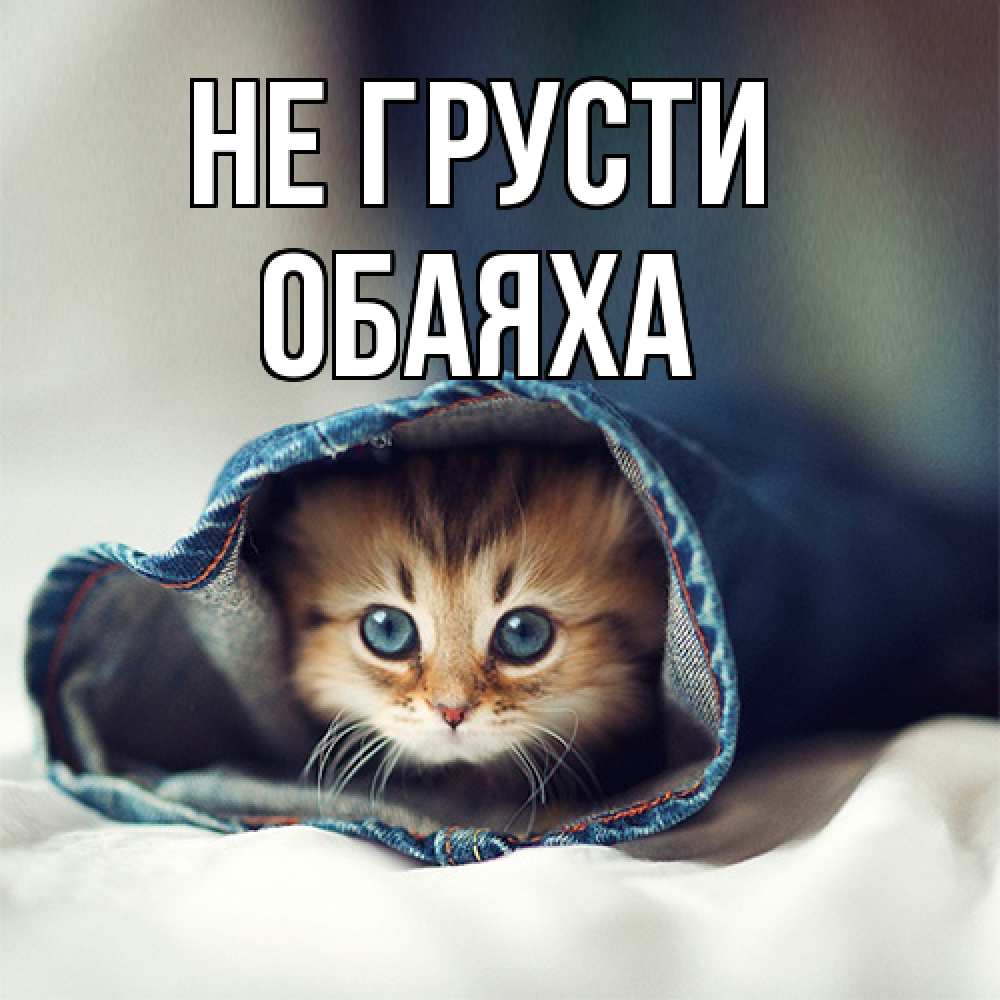 Открытка на каждый день с именем, Обаяха Не грусти рыжик котик Прикольная открытка с пожеланием онлайн скачать бесплатно 