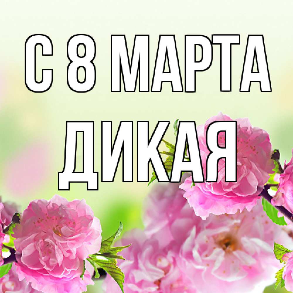 Открытка на каждый день с именем, дикая C 8 МАРТА цветы Прикольная открытка с пожеланием онлайн скачать бесплатно 