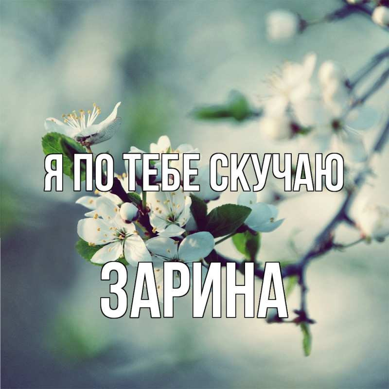 Картинка Я по тебе скучаю, Зарина