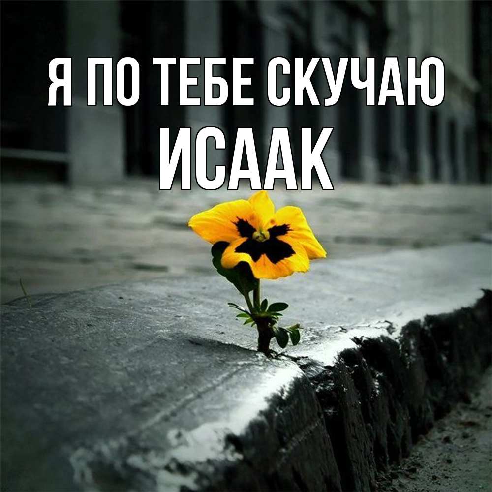 Открытка на каждый день с именем, Исаак Я по тебе скучаю надеюсь будет лучше Прикольная открытка с пожеланием онлайн скачать бесплатно 