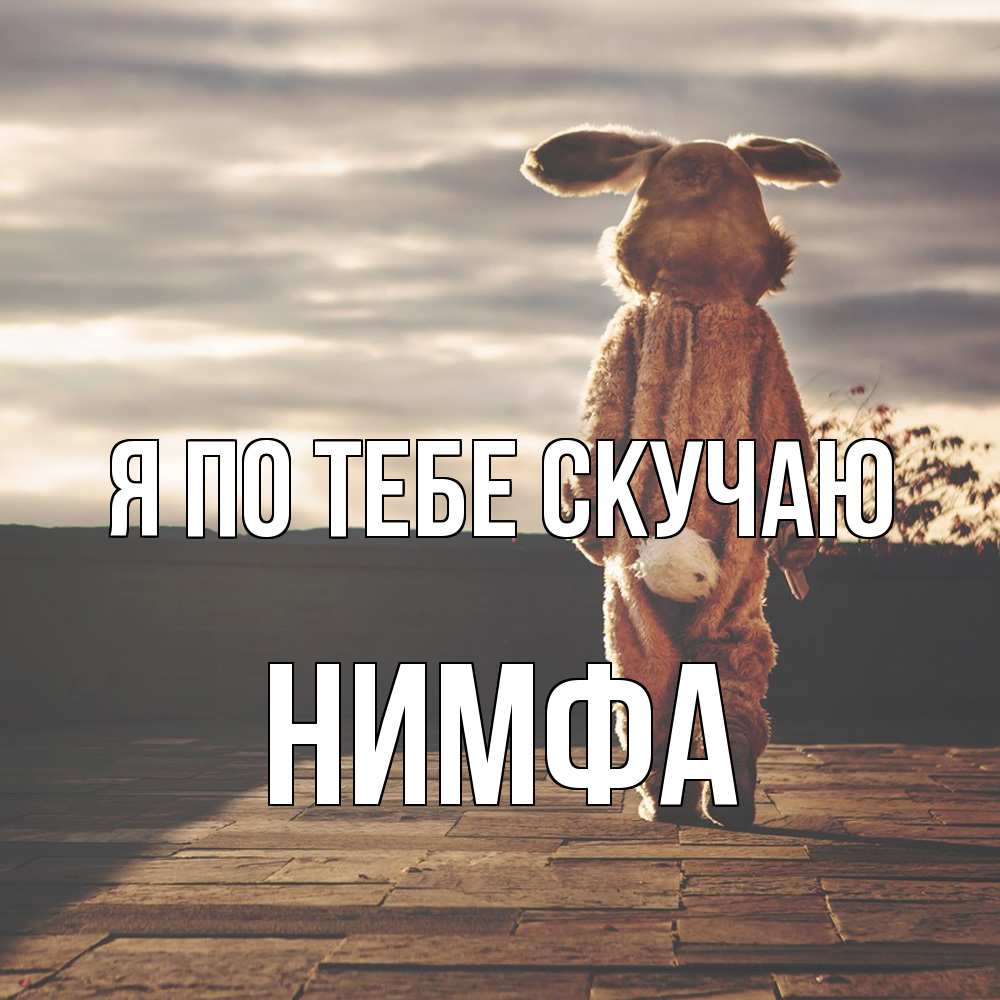 Открытка на каждый день с именем, Нимфа Я по тебе скучаю даже в костюме зайца Прикольная открытка с пожеланием онлайн скачать бесплатно 