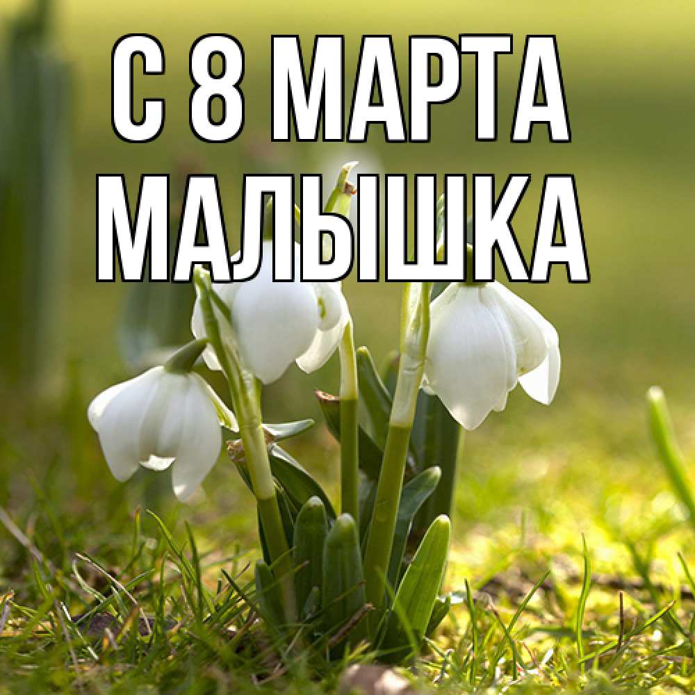 Открытка на каждый день с именем, малышка C 8 МАРТА ранние цветы 2 Прикольная открытка с пожеланием онлайн скачать бесплатно 