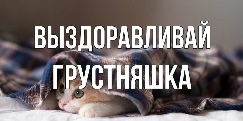 Открытка на каждый день с именем, Грустняшка Выздоравливай не болейте с котиком Прикольная открытка с пожеланием онлайн скачать бесплатно 