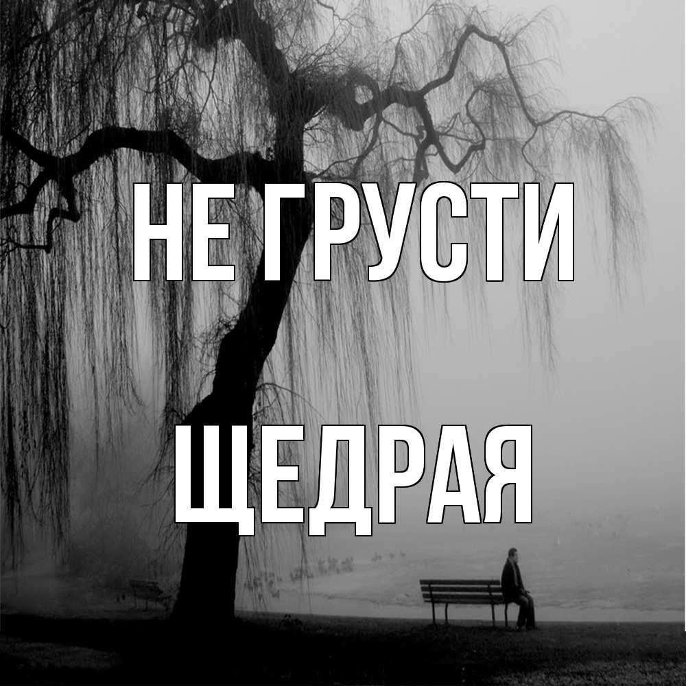 Открытка на каждый день с именем, Щедpая Не грусти висящие ветки дерева и лавочка под деревом Прикольная открытка с пожеланием онлайн скачать бесплатно 