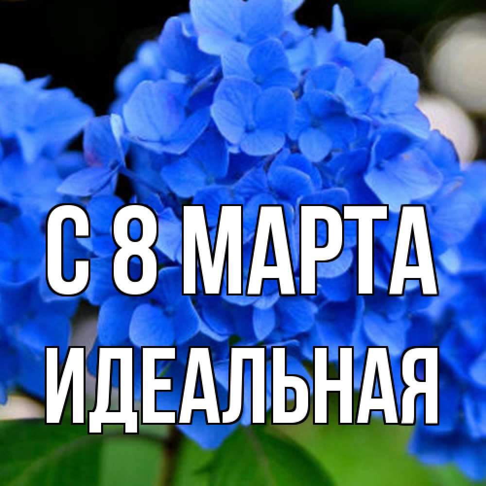 Открытка на каждый день с именем, идеальная C 8 МАРТА синие цветы Прикольная открытка с пожеланием онлайн скачать бесплатно 
