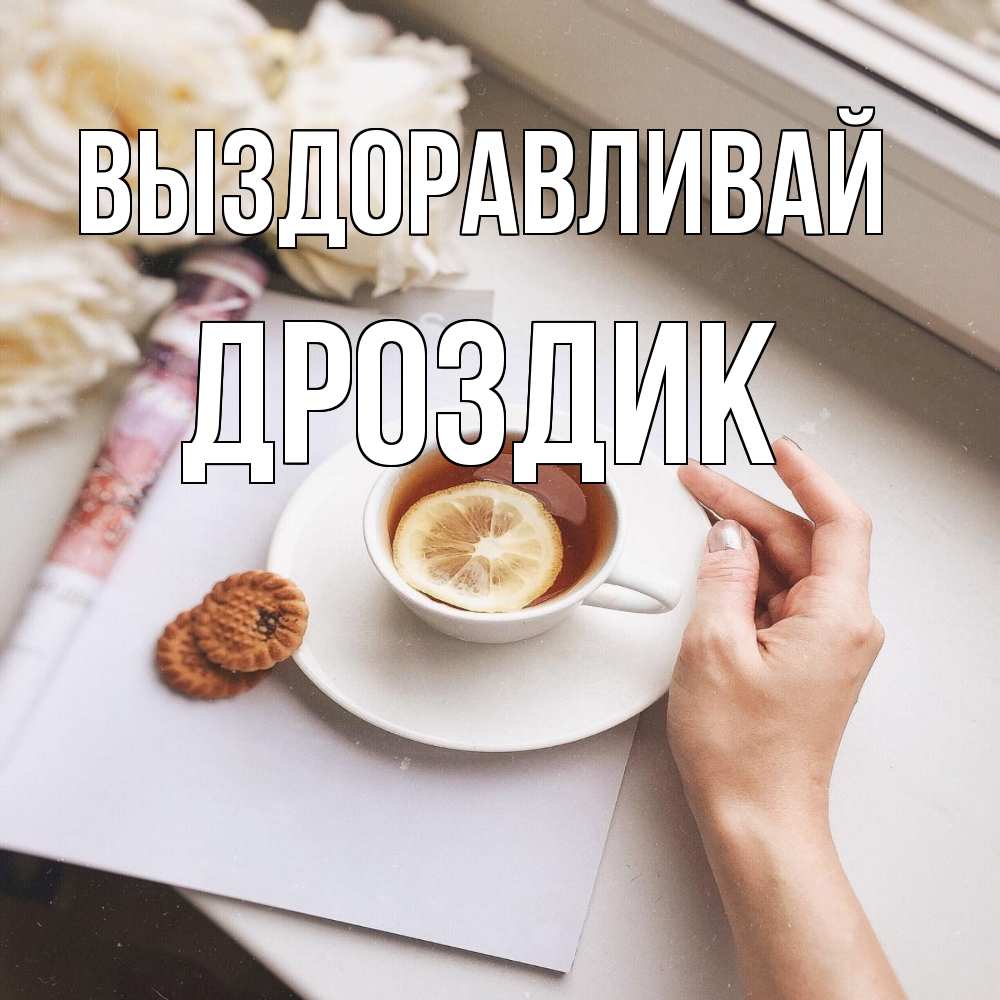 Открытка на каждый день с именем, Дроздик Выздоравливай и печеньками Прикольная открытка с пожеланием онлайн скачать бесплатно 