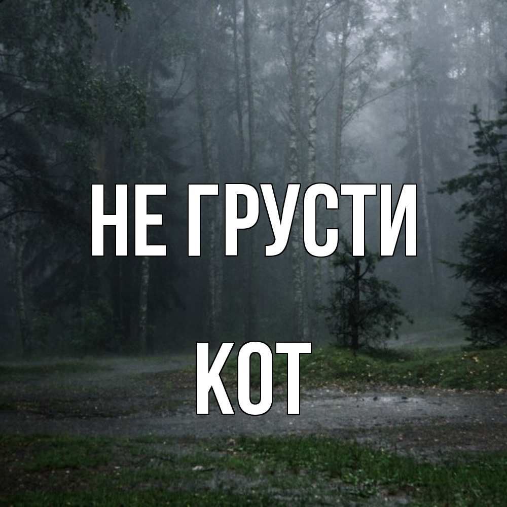 Открытка на каждый день с именем, Кот Не грусти осень Прикольная открытка с пожеланием онлайн скачать бесплатно 