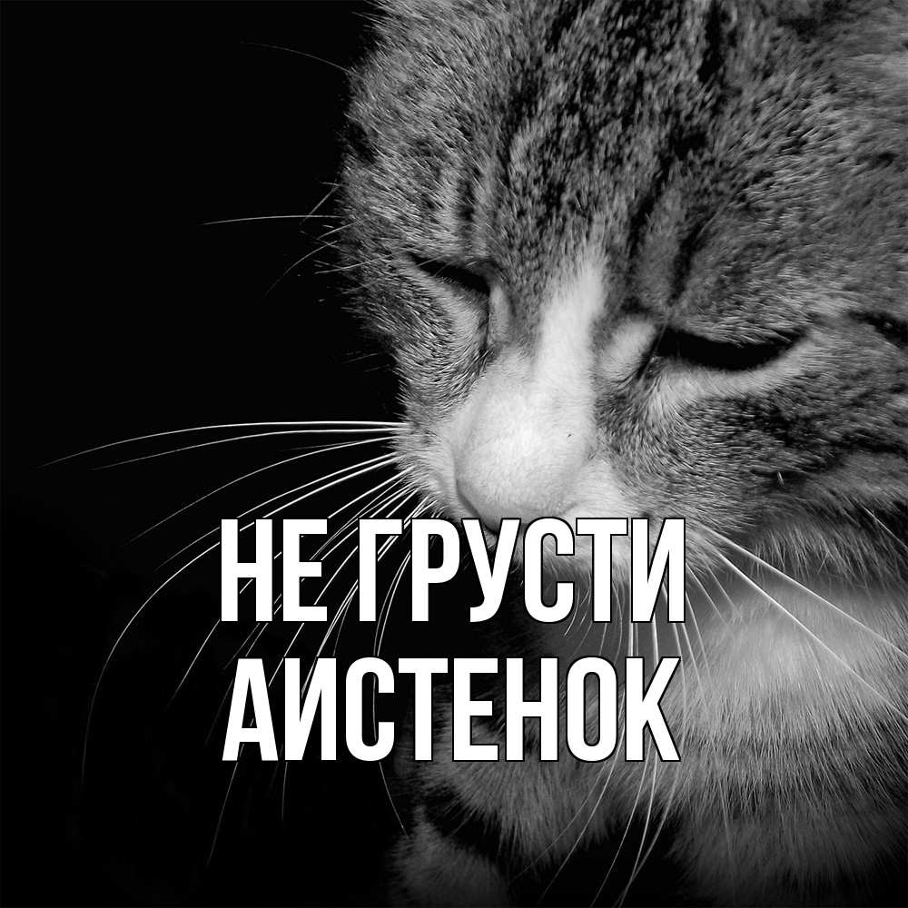 Открытка на каждый день с именем, аистенок Не грусти грустный котик Прикольная открытка с пожеланием онлайн скачать бесплатно 