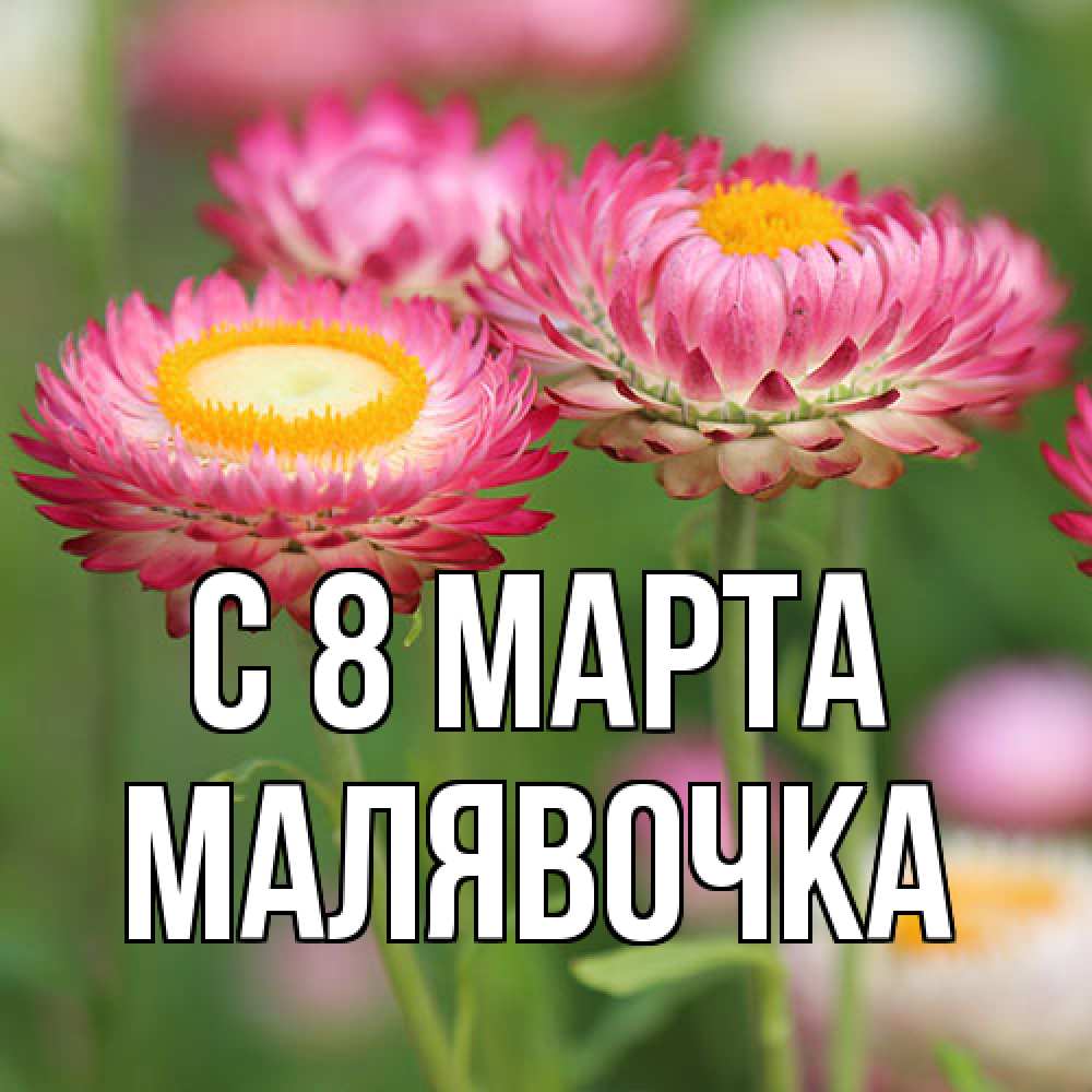 Открытка на каждый день с именем, малявочка C 8 МАРТА подарок на международный женский день Прикольная открытка с пожеланием онлайн скачать бесплатно 