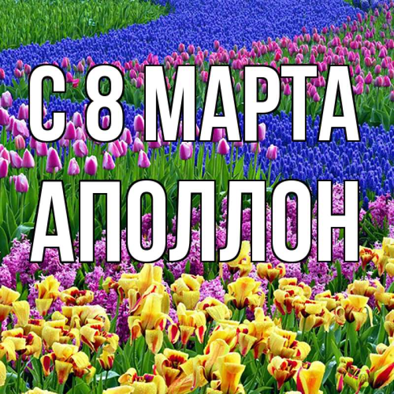 Картинка C 8 МАРТА, Аполлон