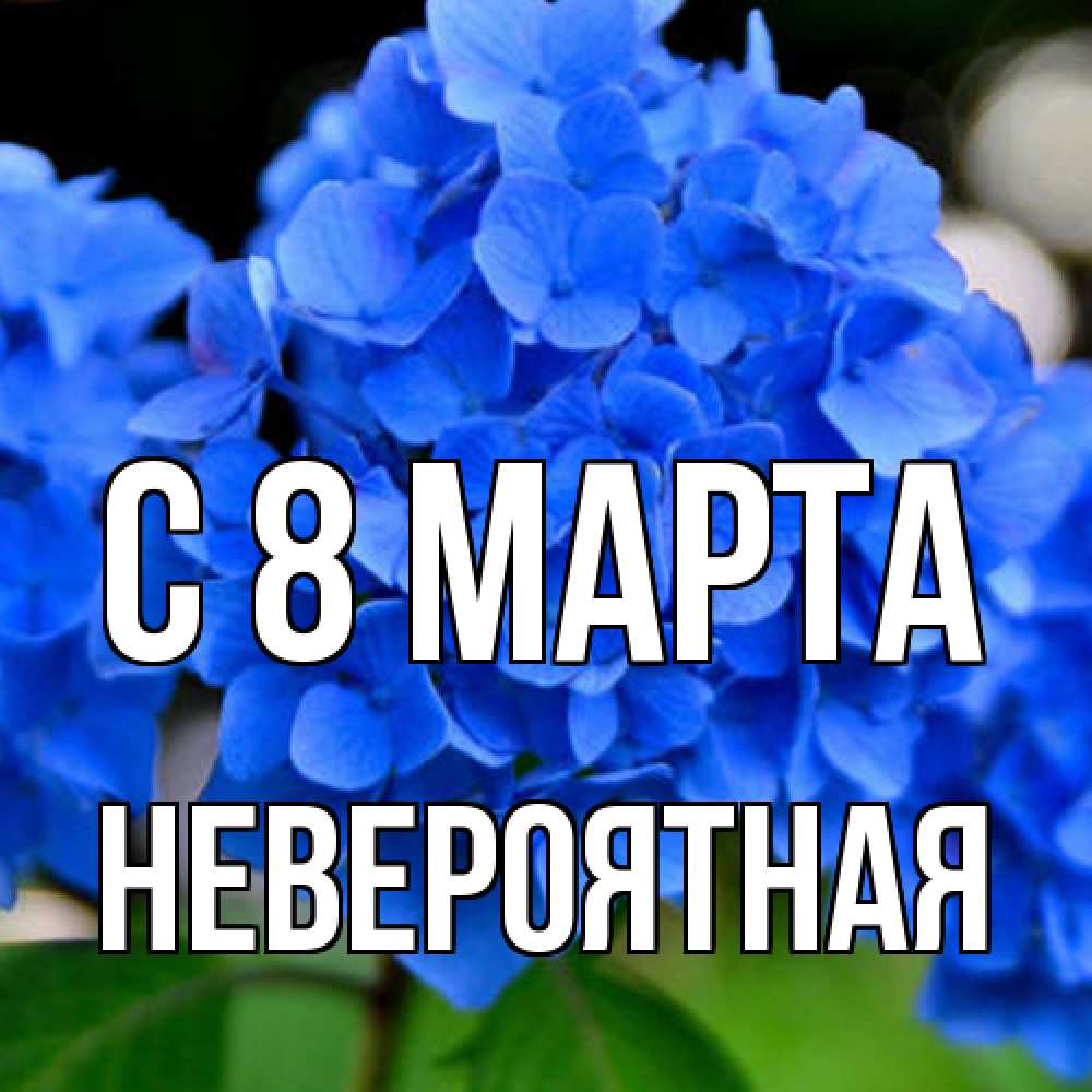 Открытка на каждый день с именем, невероятная C 8 МАРТА синие цветы Прикольная открытка с пожеланием онлайн скачать бесплатно 