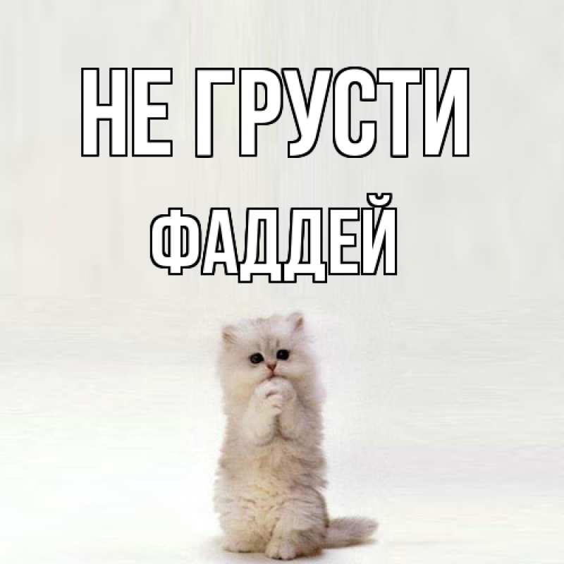 Картинка Не грусти, Фаддей