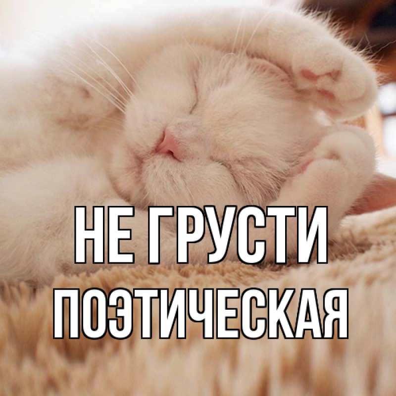 Картинка Не грусти, Поэтическая