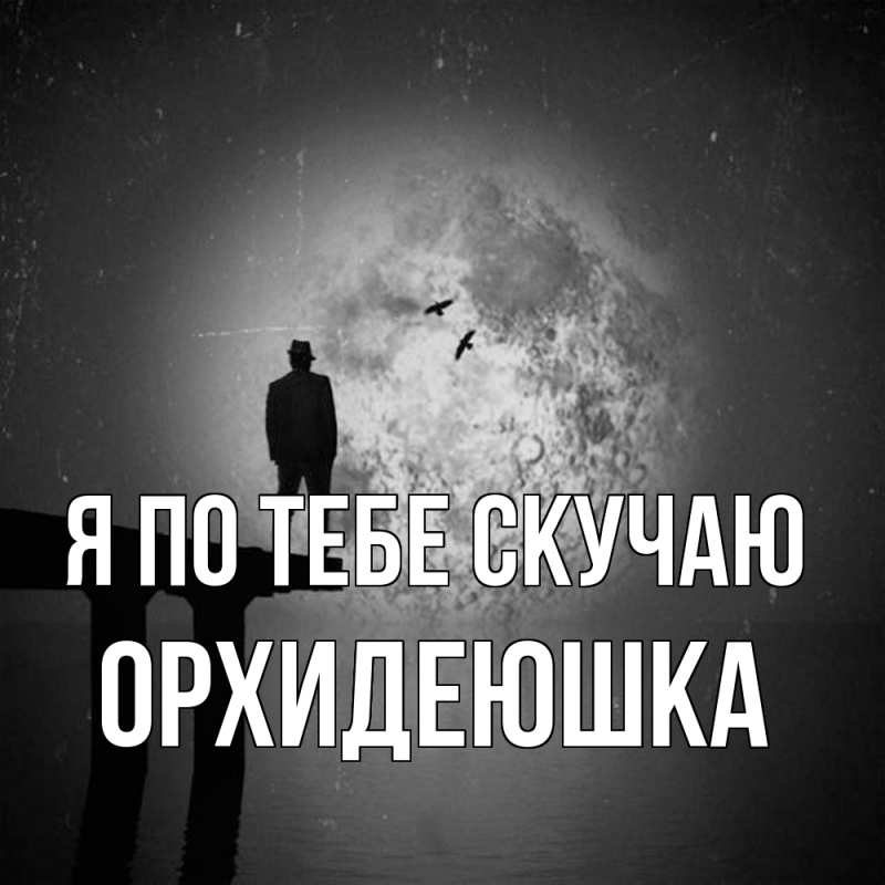 Картинка Я по тебе скучаю, Орхидеюшка