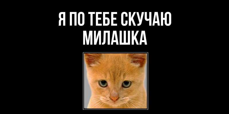 Картинка Я по тебе скучаю, Милашка
