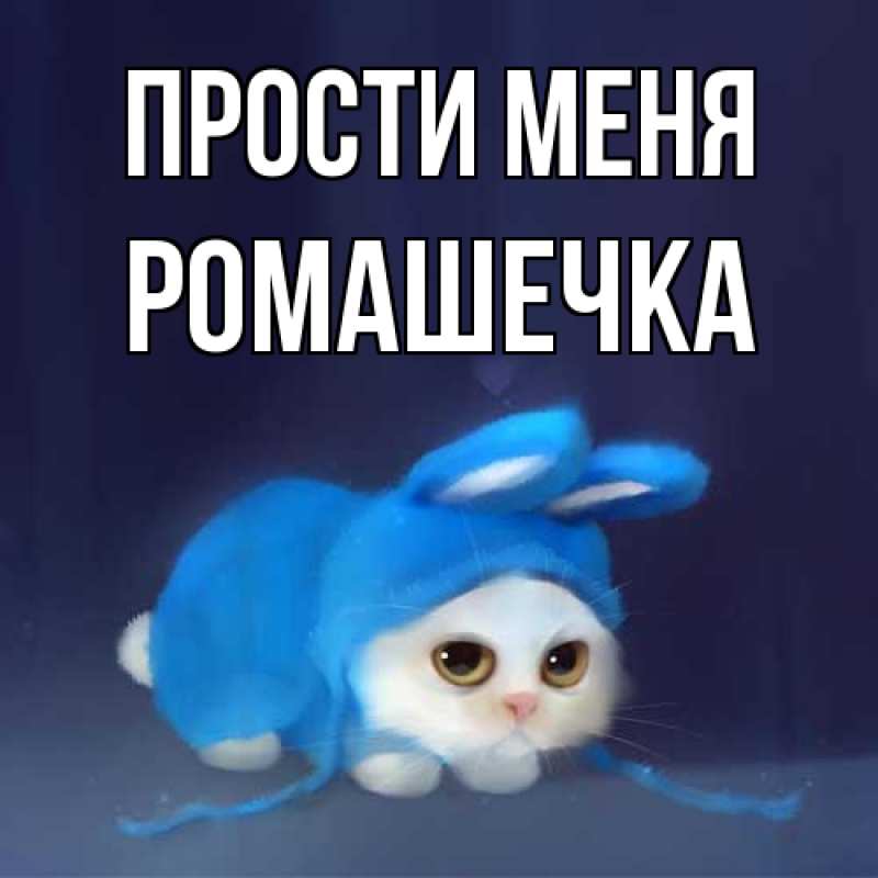 Картинка Прости меня, Ромашечка