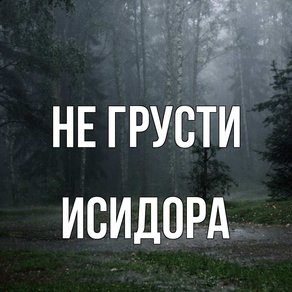 Открытка на каждый день с именем, Исидора Не грусти осень Прикольная открытка с пожеланием онлайн скачать бесплатно 