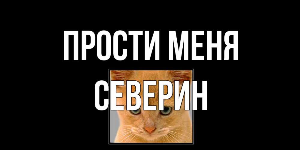 Открытка на каждый день с именем, Северин Прости меня рыжий грустный кот просит прощения Прикольная открытка с пожеланием онлайн скачать бесплатно 