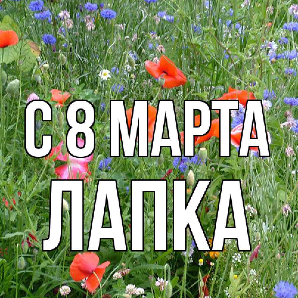 Открытка на каждый день с именем, лапка C 8 МАРТА международный женский день 4 Прикольная открытка с пожеланием онлайн скачать бесплатно 