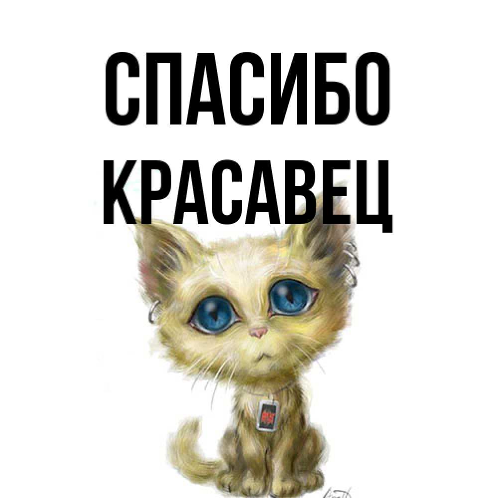 Открытка на каждый день с именем, Красавец Спасибо рисованный кот благодарит вас Прикольная открытка с пожеланием онлайн скачать бесплатно 