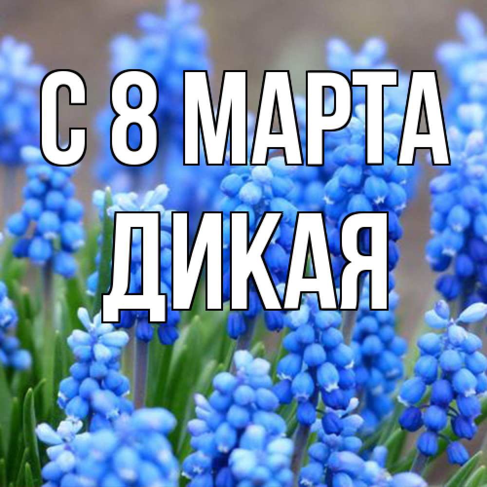 Открытка на каждый день с именем, дикая C 8 МАРТА Поздравительная открытка для женщин с цветами на праздничную дату Прикольная открытка с пожеланием онлайн скачать бесплатно 