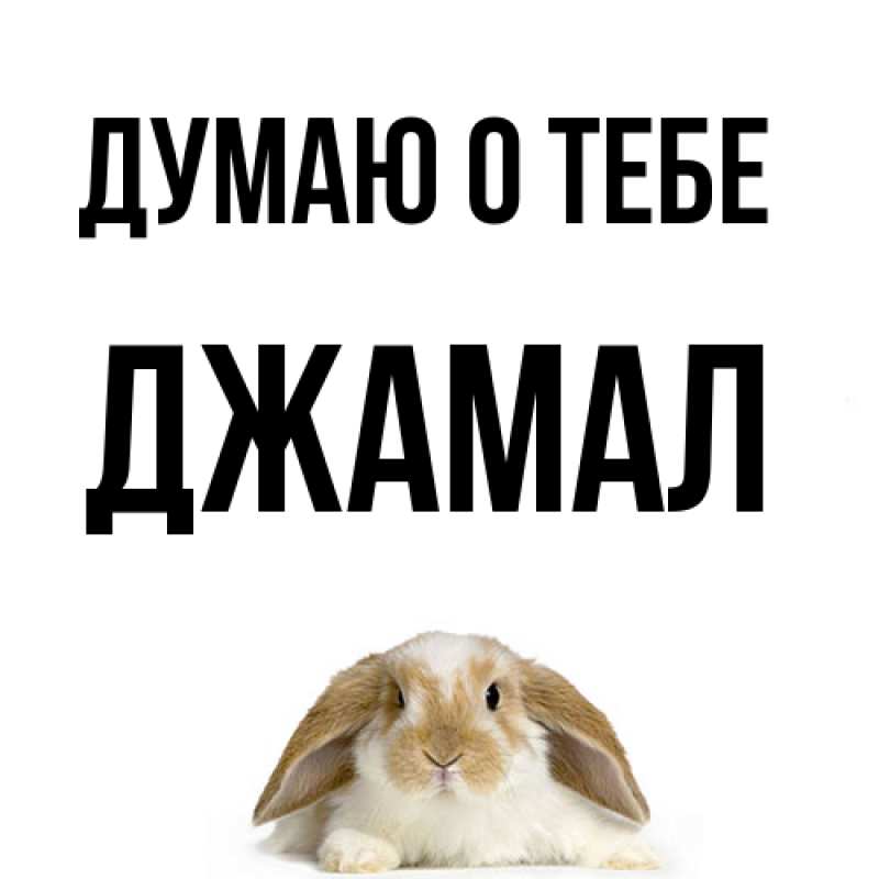 Картинка Думаю о тебе, Джамал