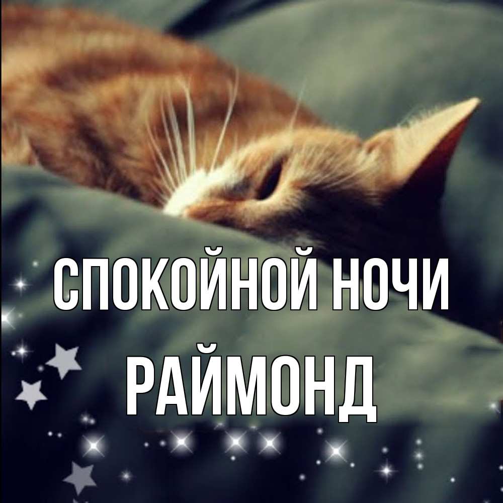 Открытка на каждый день с именем, Раймонд Спокойной ночи кроватка Прикольная открытка с пожеланием онлайн скачать бесплатно 