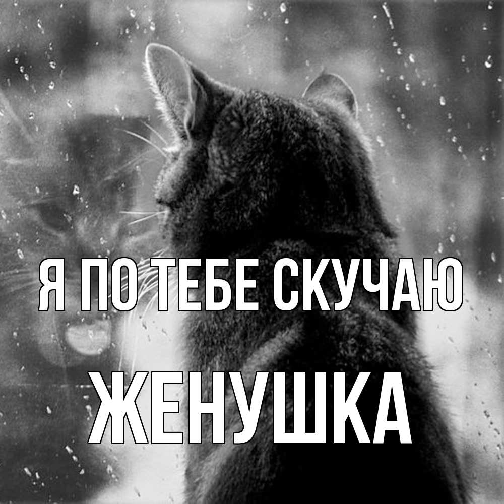 Открытка на каждый день с именем, женушка Я по тебе скучаю скорее ко мне приходи 1 Прикольная открытка с пожеланием онлайн скачать бесплатно 