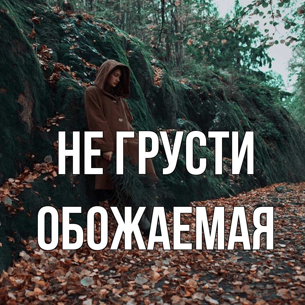 Открытка на каждый день с именем, обожаемая Не грусти осенний лес Прикольная открытка с пожеланием онлайн скачать бесплатно 