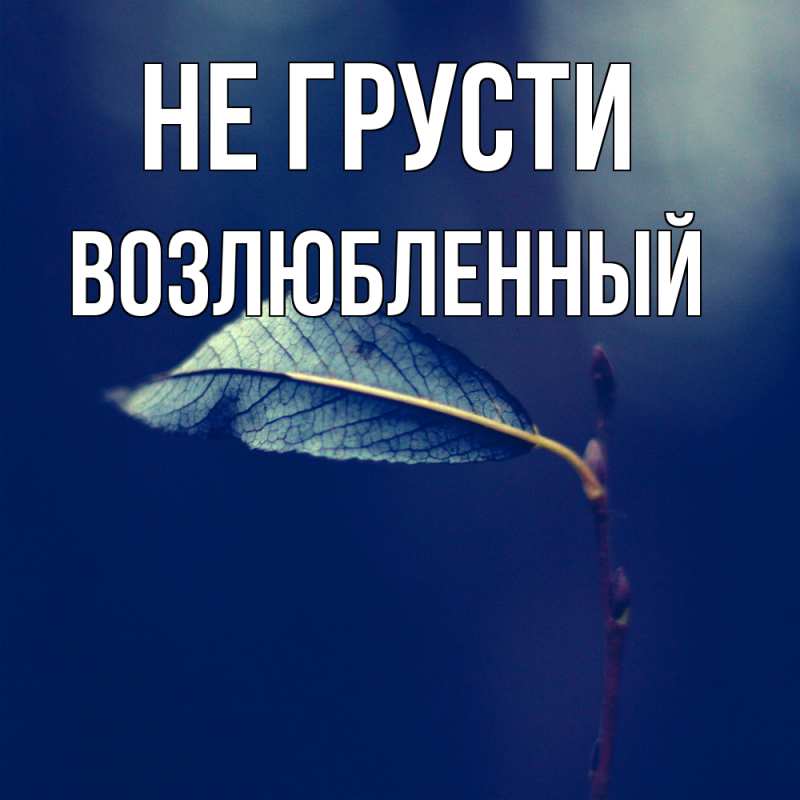 Картинка Не грусти, Возлюбленный