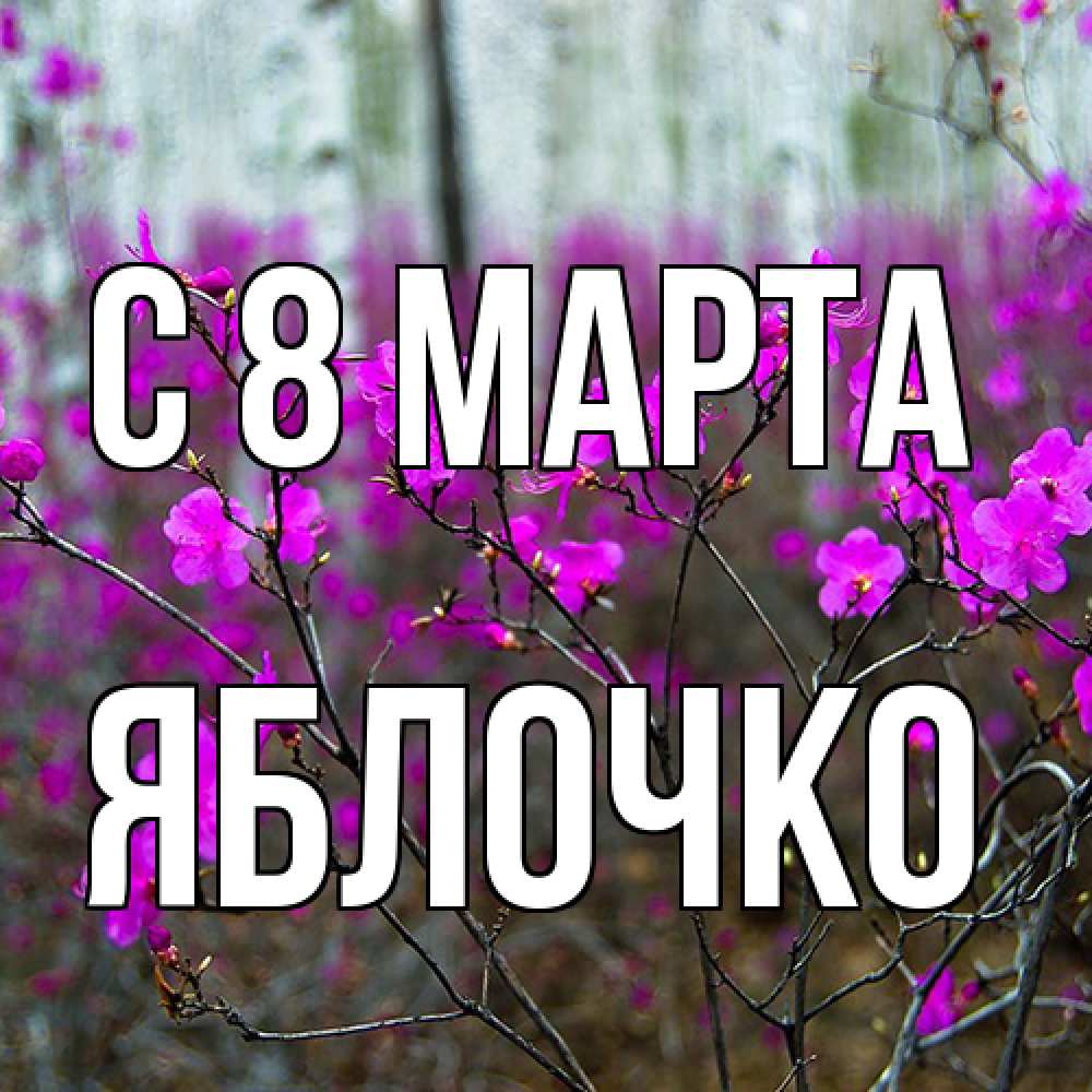 Открытка на каждый день с именем, яблочко C 8 МАРТА дикие цветы Прикольная открытка с пожеланием онлайн скачать бесплатно 