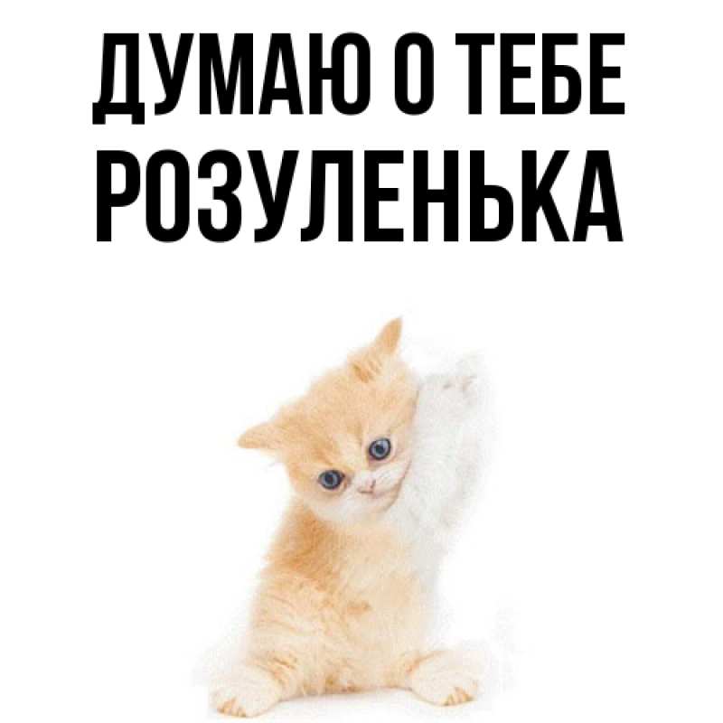 Картинка Думаю о тебе, Розуленька