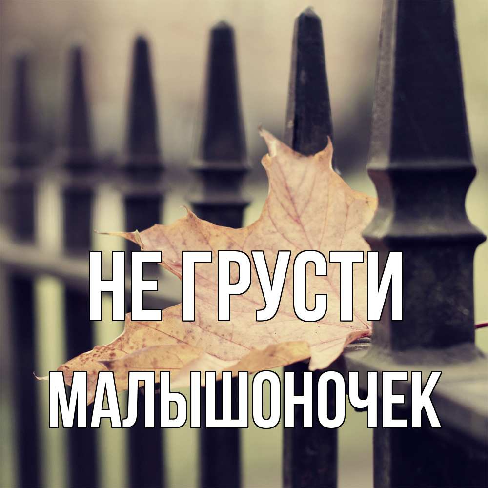 Открытка на каждый день с именем, Малышоночек Не грусти лист клена Прикольная открытка с пожеланием онлайн скачать бесплатно 