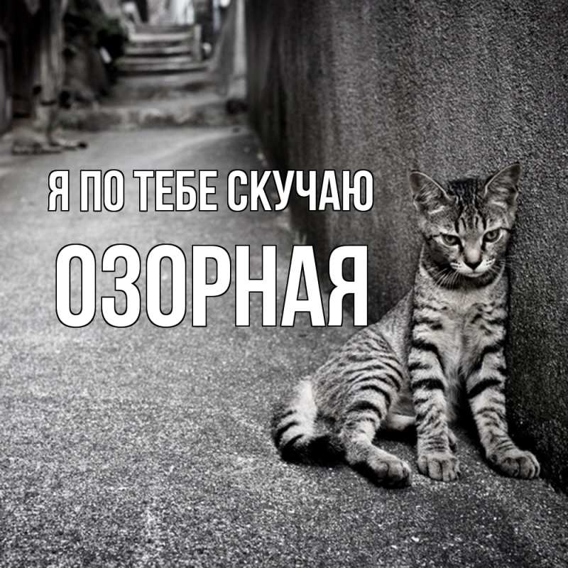 Картинка Я по тебе скучаю, Озоpная