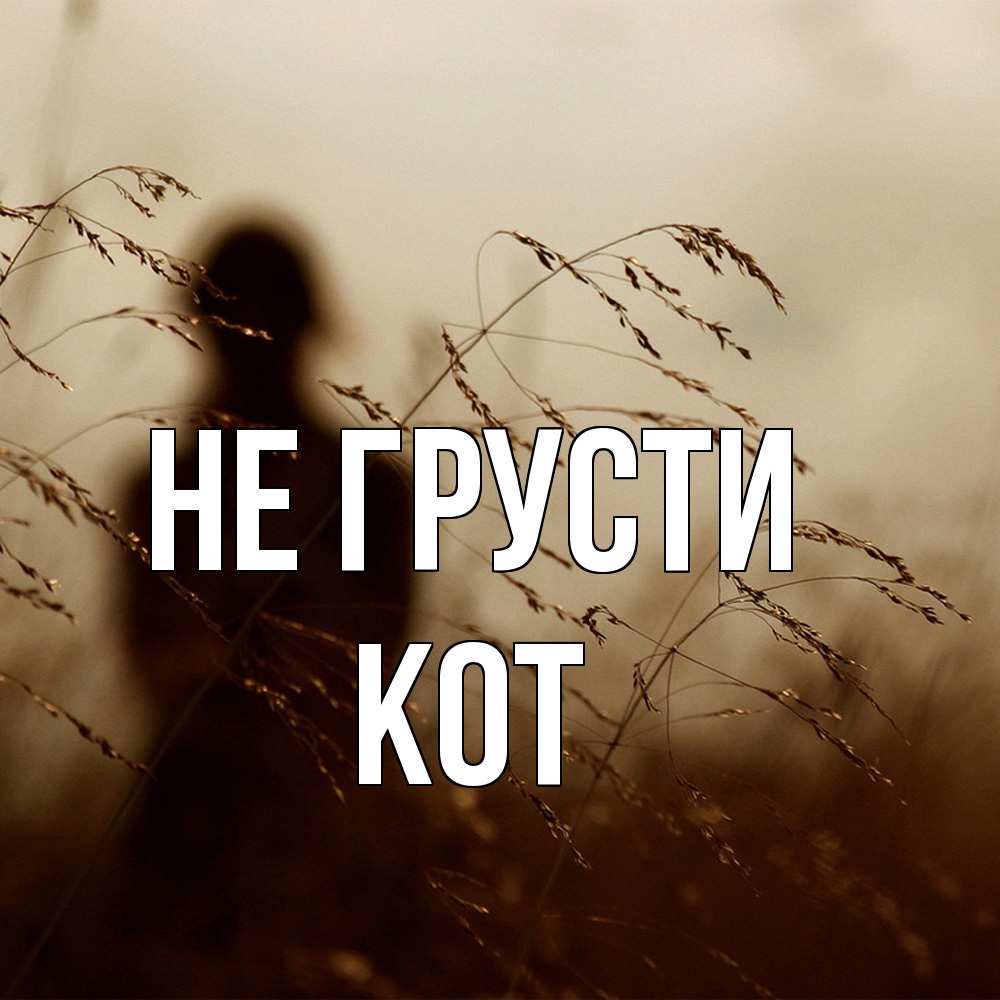 Открытка на каждый день с именем, Кот Не грусти грусть Прикольная открытка с пожеланием онлайн скачать бесплатно 