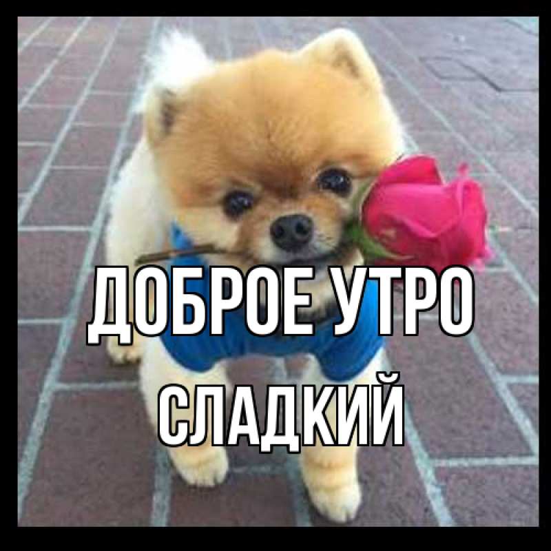 Картинка Доброе утро, Сладкий