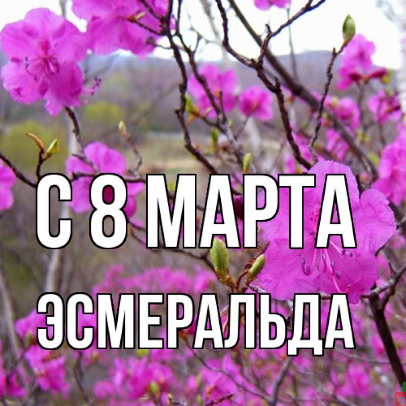 Картинка C 8 МАРТА, Эсмеральда