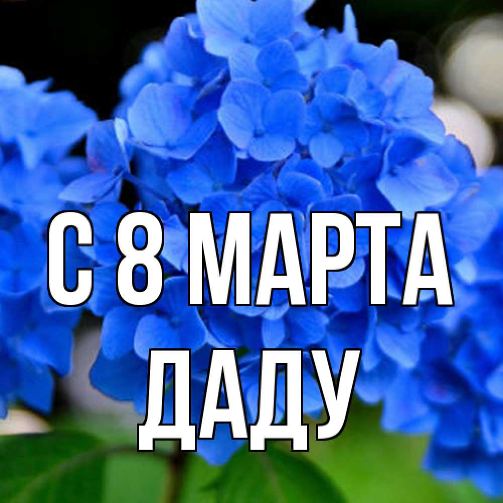 Открытка на каждый день с именем, Даду C 8 МАРТА синие цветы Прикольная открытка с пожеланием онлайн скачать бесплатно 