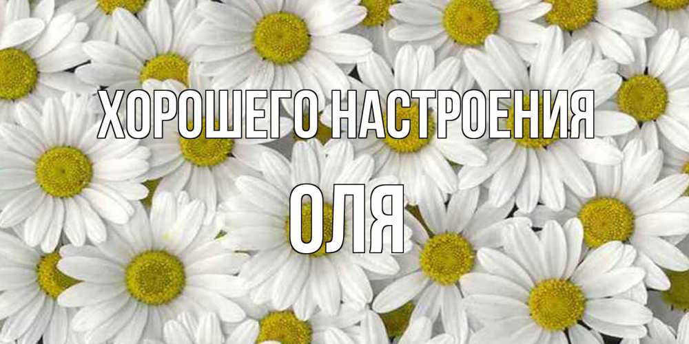 Открытка на каждый день с именем, Оля Хорошего настроения поляна ромашек Прикольная открытка с пожеланием онлайн скачать бесплатно 