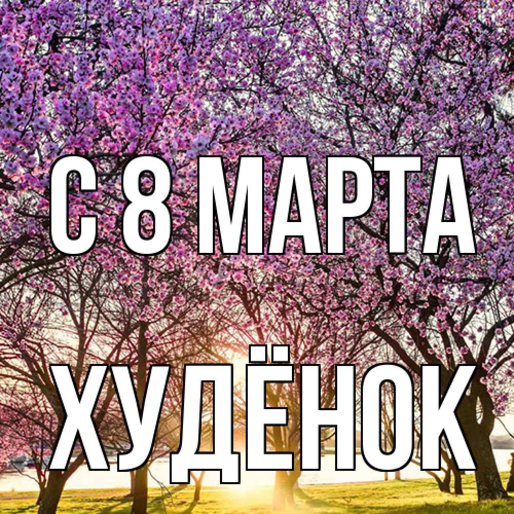 Открытка на каждый день с именем, худёнок C 8 МАРТА международный женский день Прикольная открытка с пожеланием онлайн скачать бесплатно 