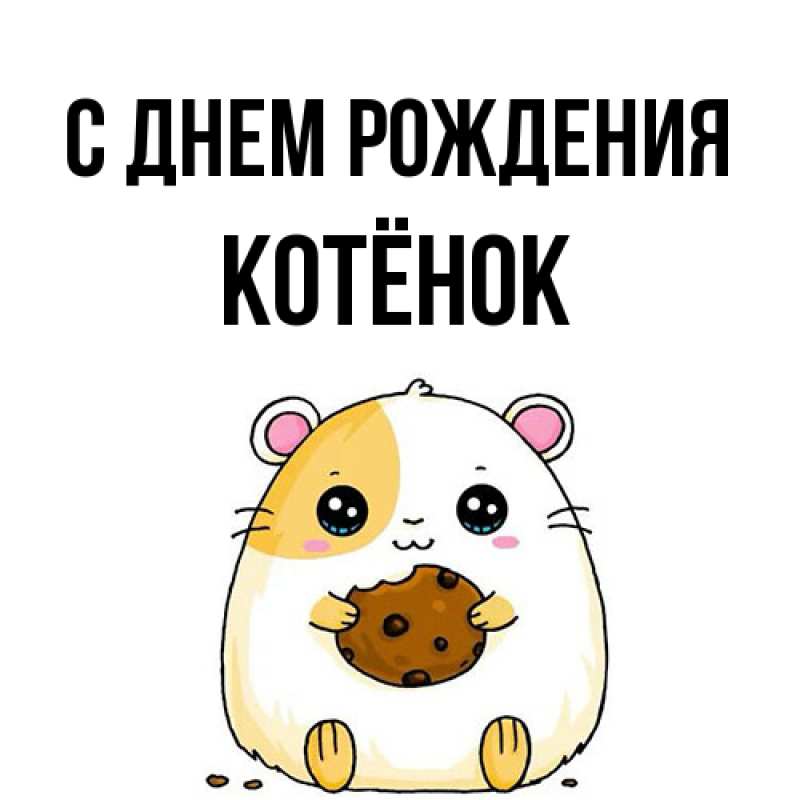 Картинка С днем рождения, Котёнок
