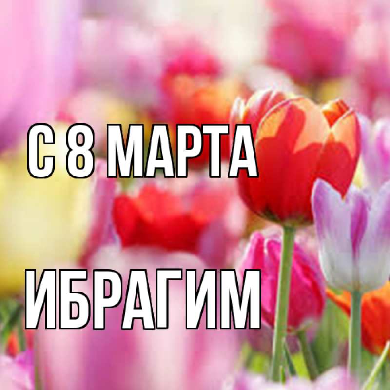 Картинка C 8 МАРТА, Ибрагим