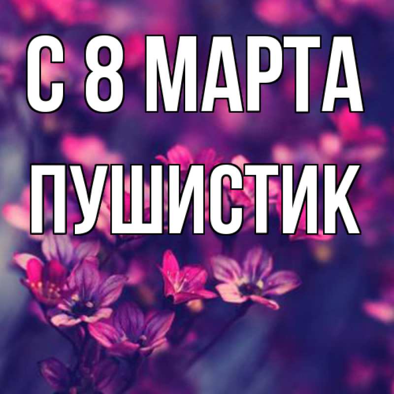 Картинка C 8 МАРТА, Пушистик