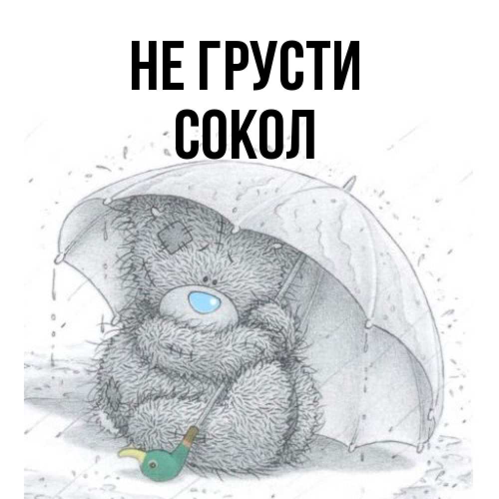 Открытка на каждый день с именем, Сокол Не грусти спасите мишку Тедди Прикольная открытка с пожеланием онлайн скачать бесплатно 