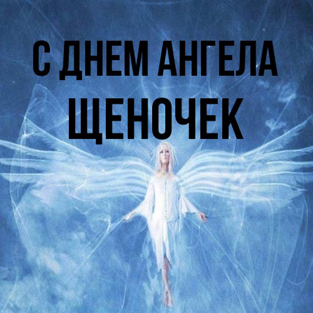 Открытка на каждый день с именем, Щеночек С днем ангела голубой фон и крылья как у стрекозы Прикольная открытка с пожеланием онлайн скачать бесплатно 